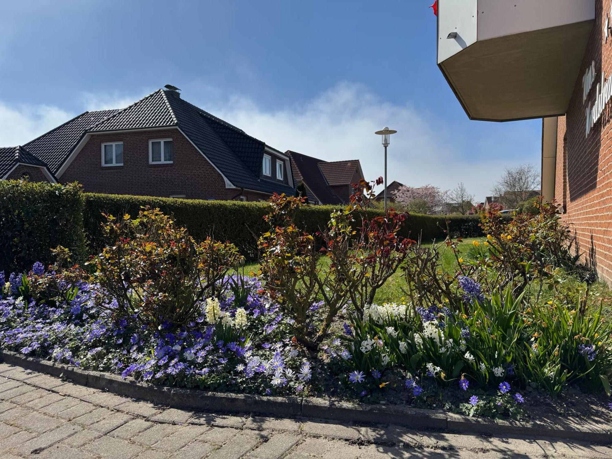Haus Nordstrand 比苏姆 客房 照片