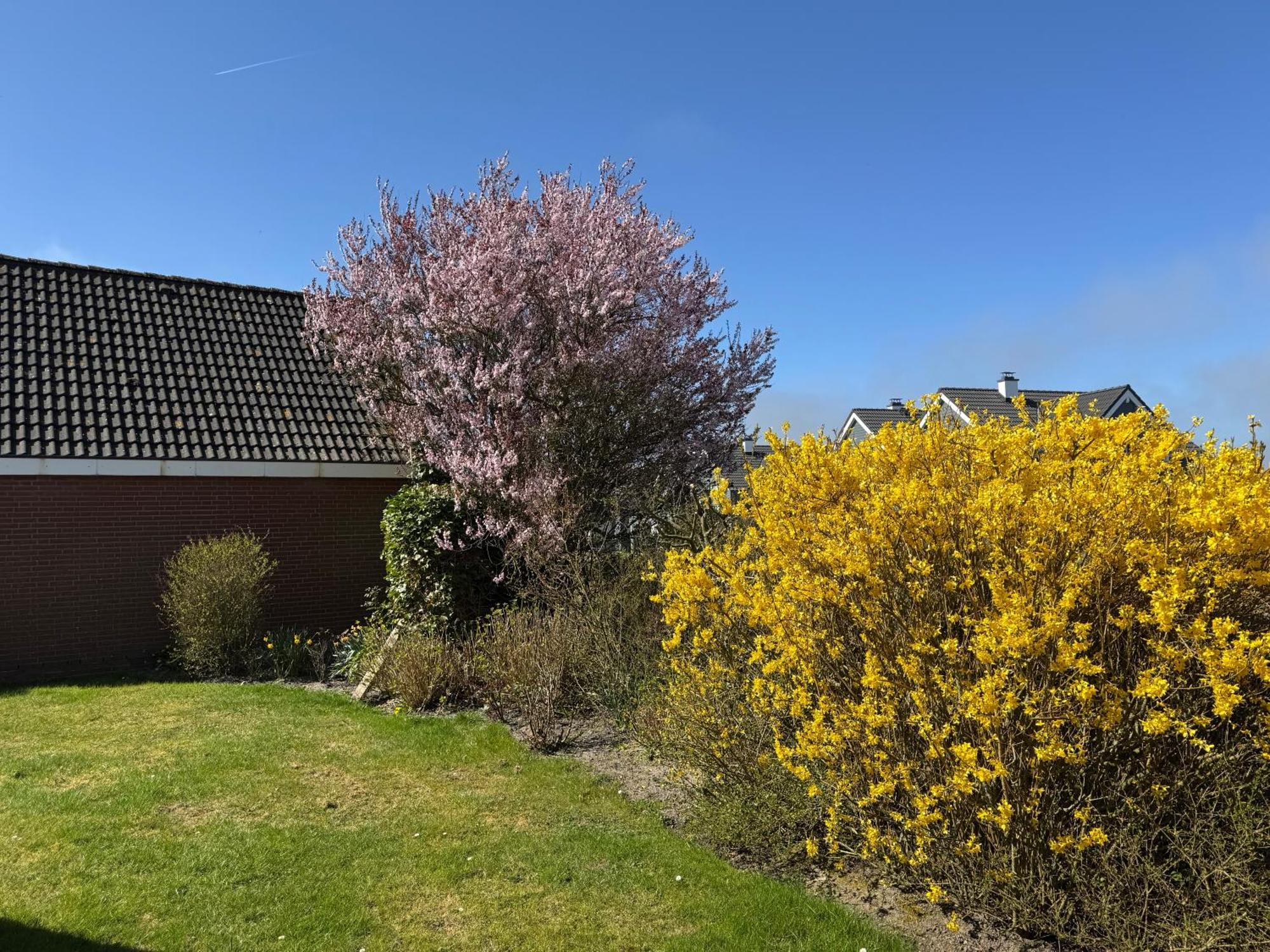 Haus Nordstrand 比苏姆 客房 照片