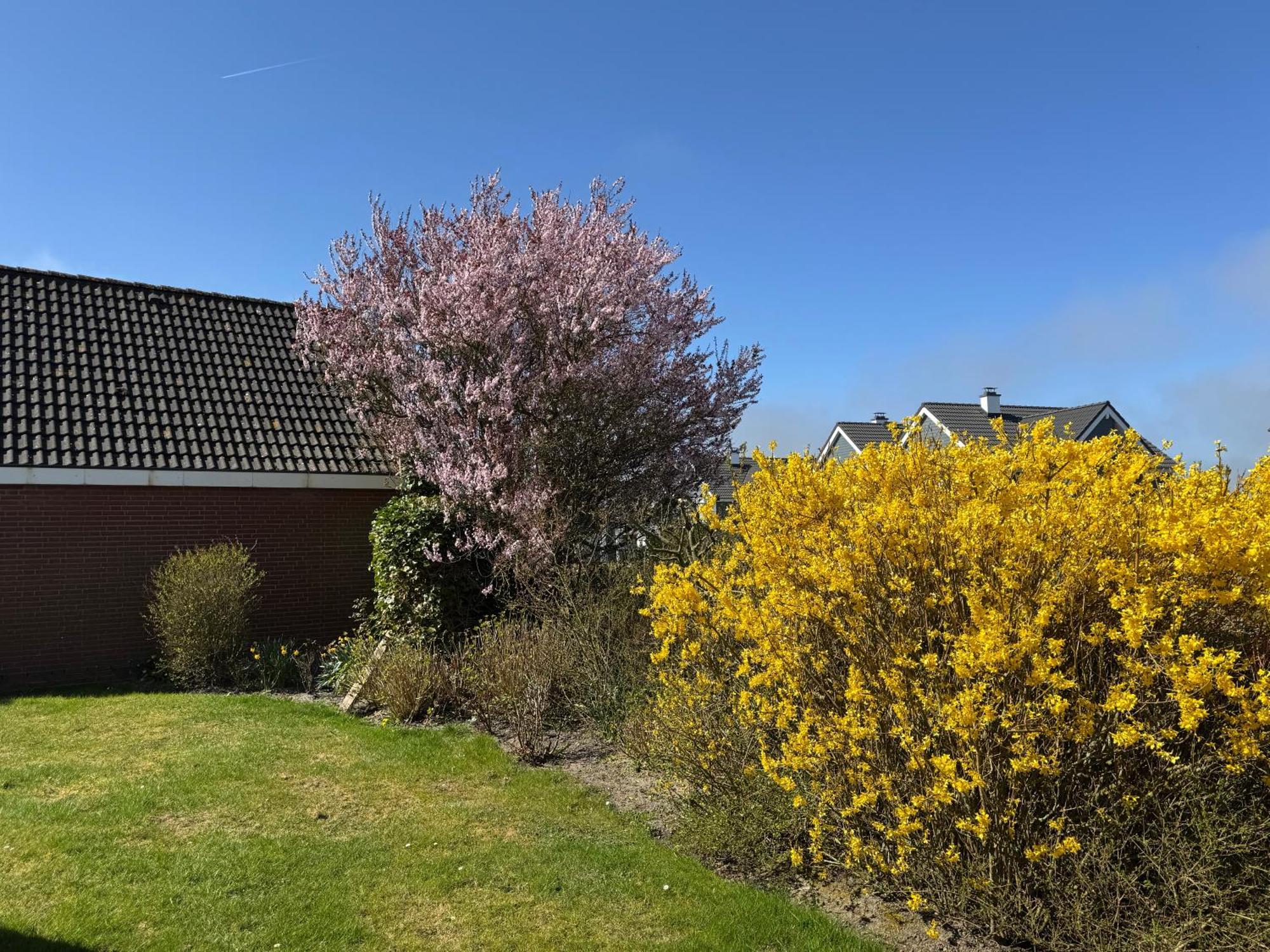 Haus Nordstrand 比苏姆 外观 照片